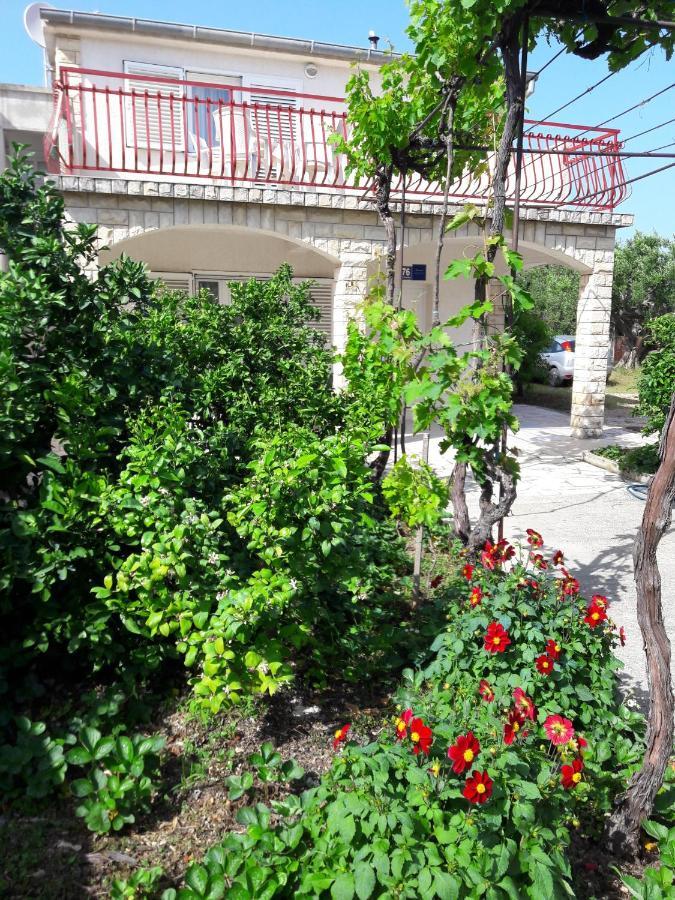 Apartment Bise روغوزنيكا المظهر الخارجي الصورة